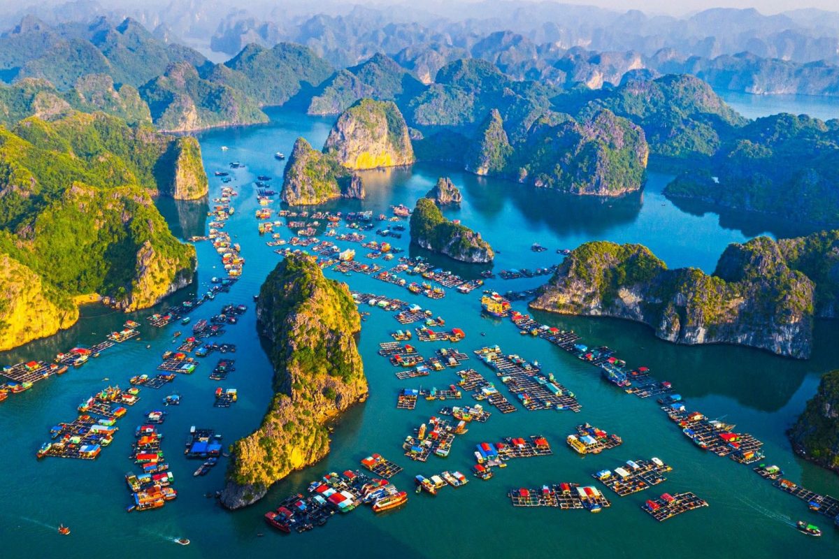 Cat Ba Tours