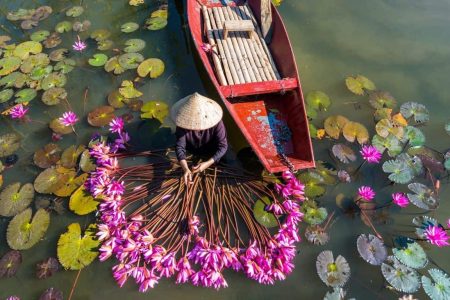Ninh Binh Weather – Plan the Perfect Trip to Vietnam’s Hidden Gem