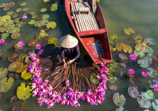 Ninh Binh Weather – Plan the Perfect Trip to Vietnam’s Hidden Gem