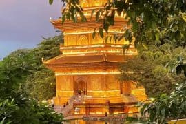 Ninh Binh Night Market – Discover the City After Dark