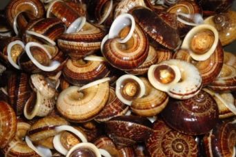 place-to-eat-in-ninh-binh-04