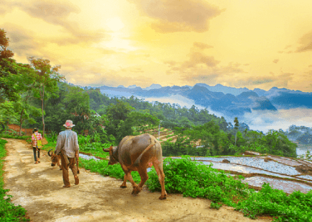 A Short Hiking Trip in Pu Luong Nature Reserve