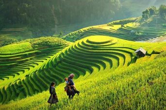 sapa-trekking-3-1