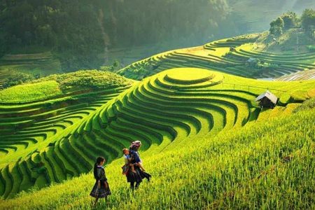 Sapa Trekking and Halong Bay by Bus 5-Day Full Tour